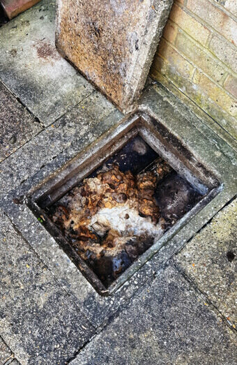 https://plumbersouthernriver.com.au/uploads/2025/06/blocked-drains-465055.jpg